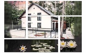 Lily - Sunny Flowers Apartments